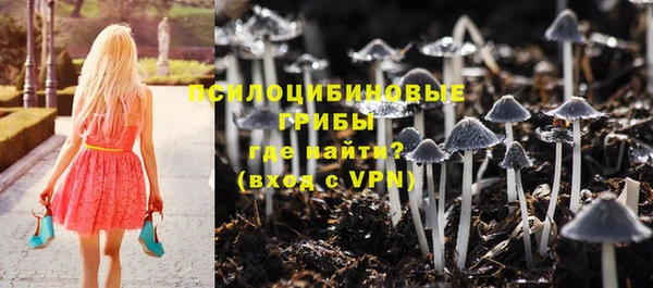 первитин Балахна