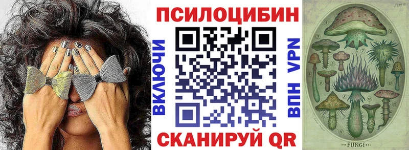 Галлюциногенные грибы Cubensis Шагонар