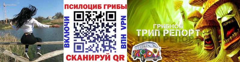 Галлюциногенные грибы ЛСД  Шагонар 